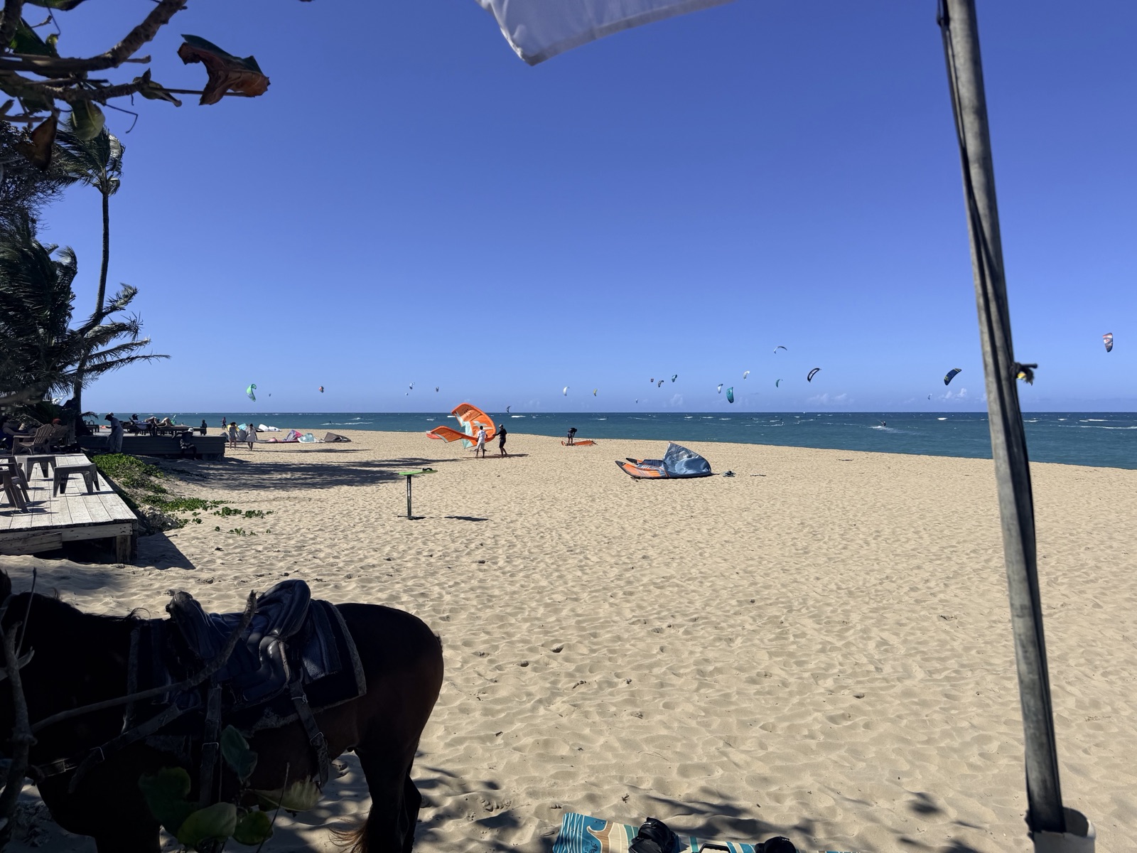A busy afternoon of kitesurfers on the water at Kite Beach