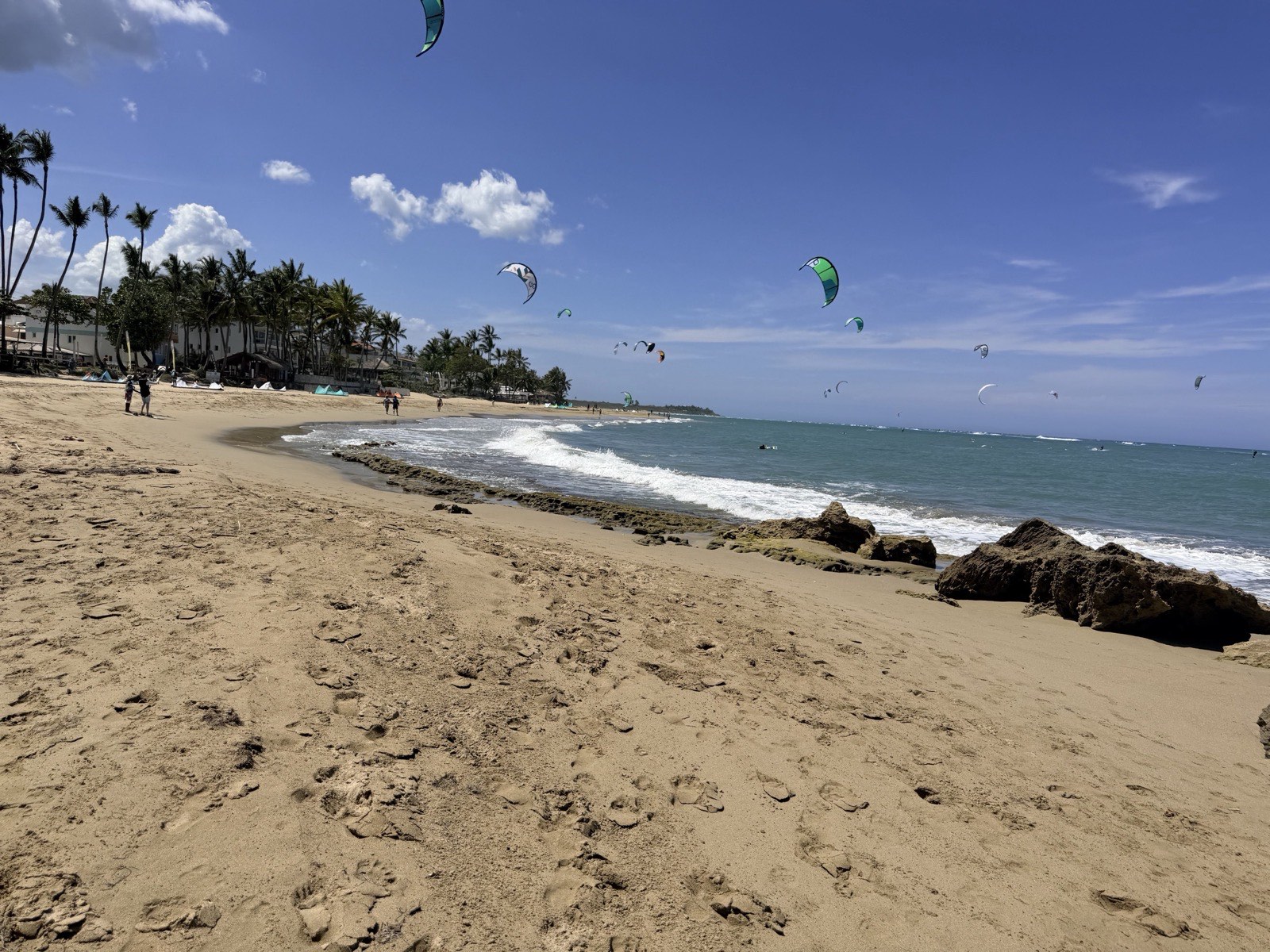 A sky full of kites over Cabarete on a strong wind day